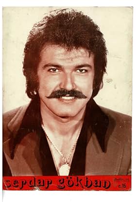 actor Serdar Gökhan large photo