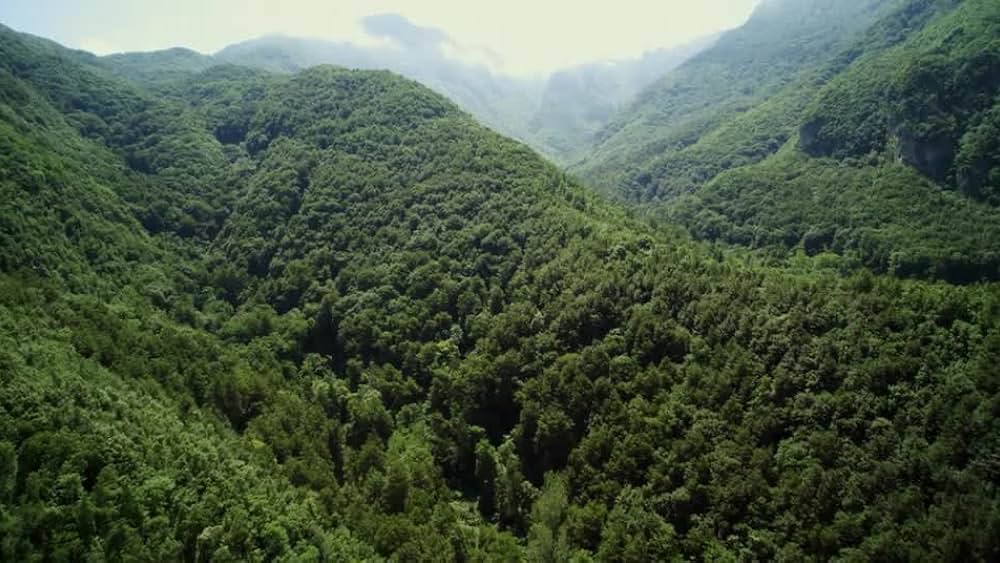 actor Rocco Barbaro large photo