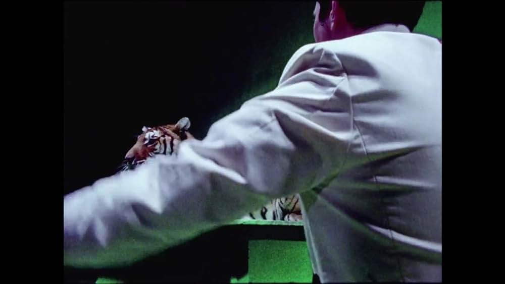 actor Claire Doyon large photo