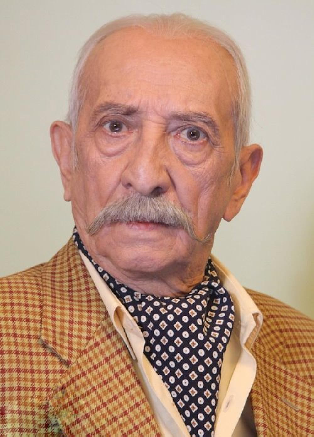 actor Dariush Asadzade large photo