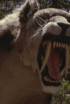 actor James D.R. Hickox large photo