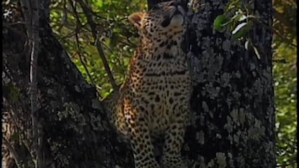 actor Judy Ditchfield large photo