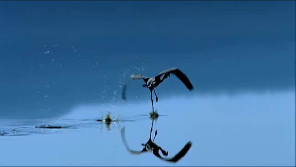 actor Matthew Aeberhard large photo