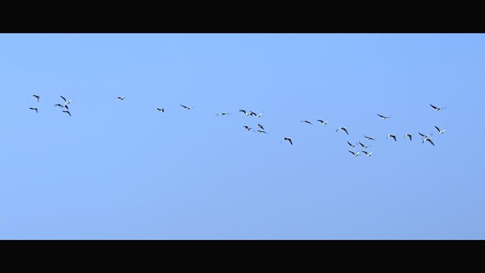 actor Subhash Chandra Garg large photo