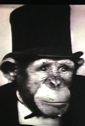 actor Richard Abramowitz large photo