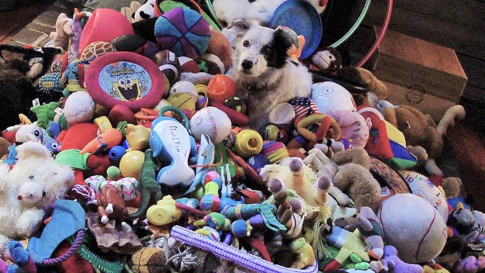 actor Jenny Cruise large photo