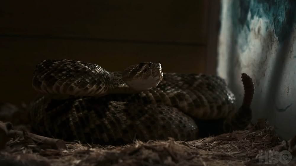 actor Bobby Carson large photo