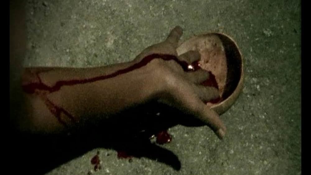 actor Joy Wielard large photo