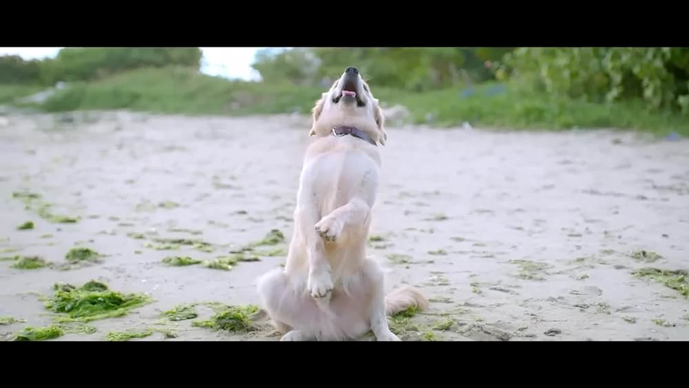 actor Raghu Subhash Chandran large photo