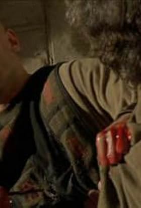 actor Damir Todorovic large photo