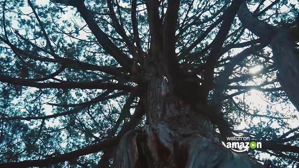 actor Danielle Winkler large photo