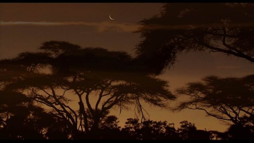 actor Dereck Joubert large photo