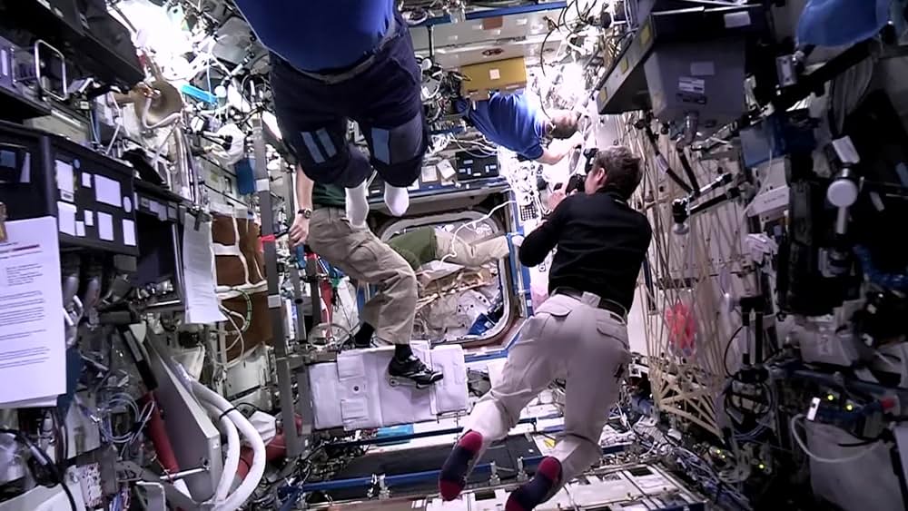 actor Oleg Novitsky large photo