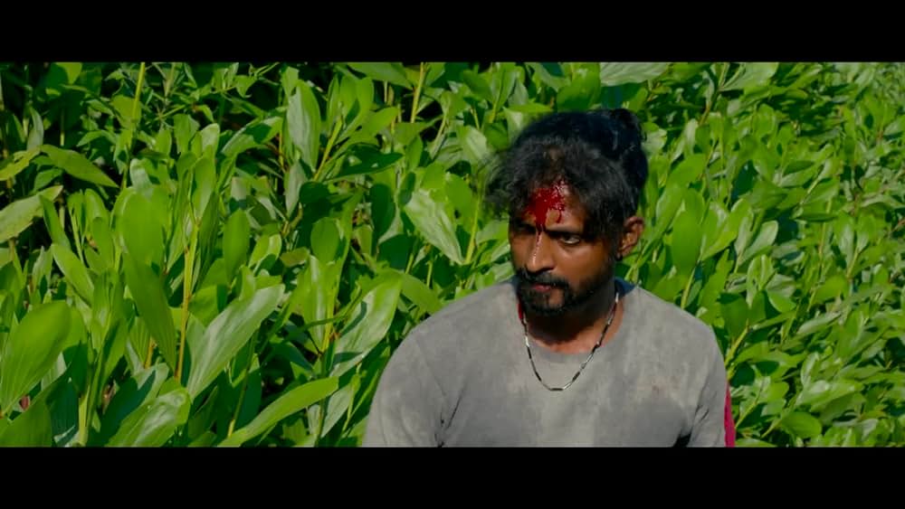 actor Advaith Ajay large photo