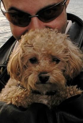 actor Alain Dahan large photo