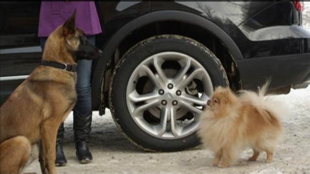 actor Willem Wennekers large photo