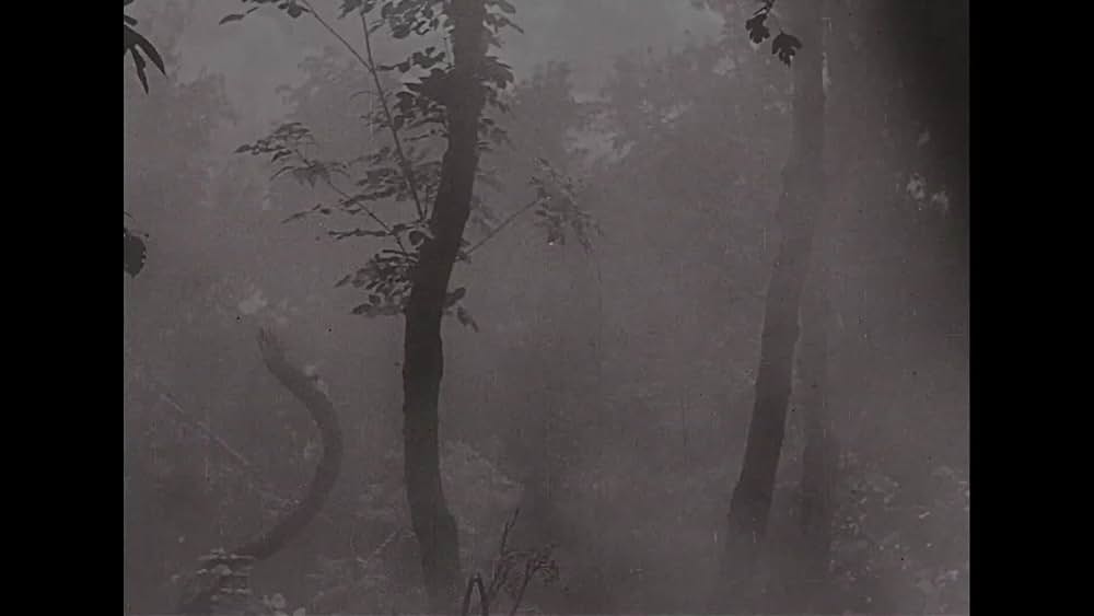 actor Emidio Clementi large photo