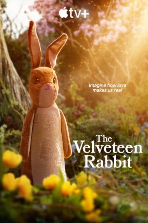The Velveteen Rabbit [Hindi]
