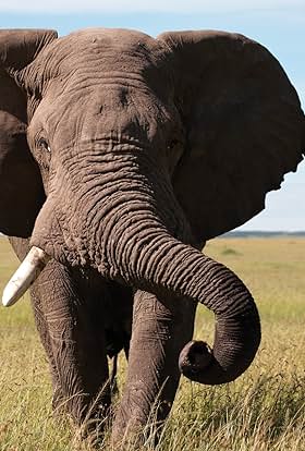 actor Keith Scholey large photo