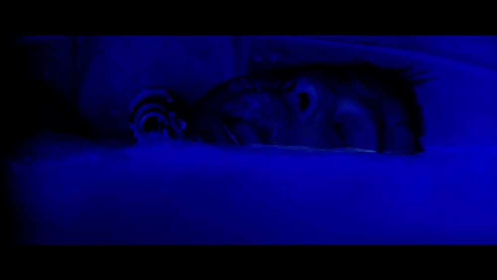 actor Mridula Mahajan large photo