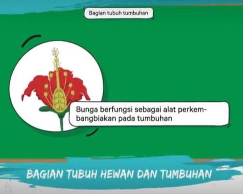 Kelas 4 IPA Terpadu