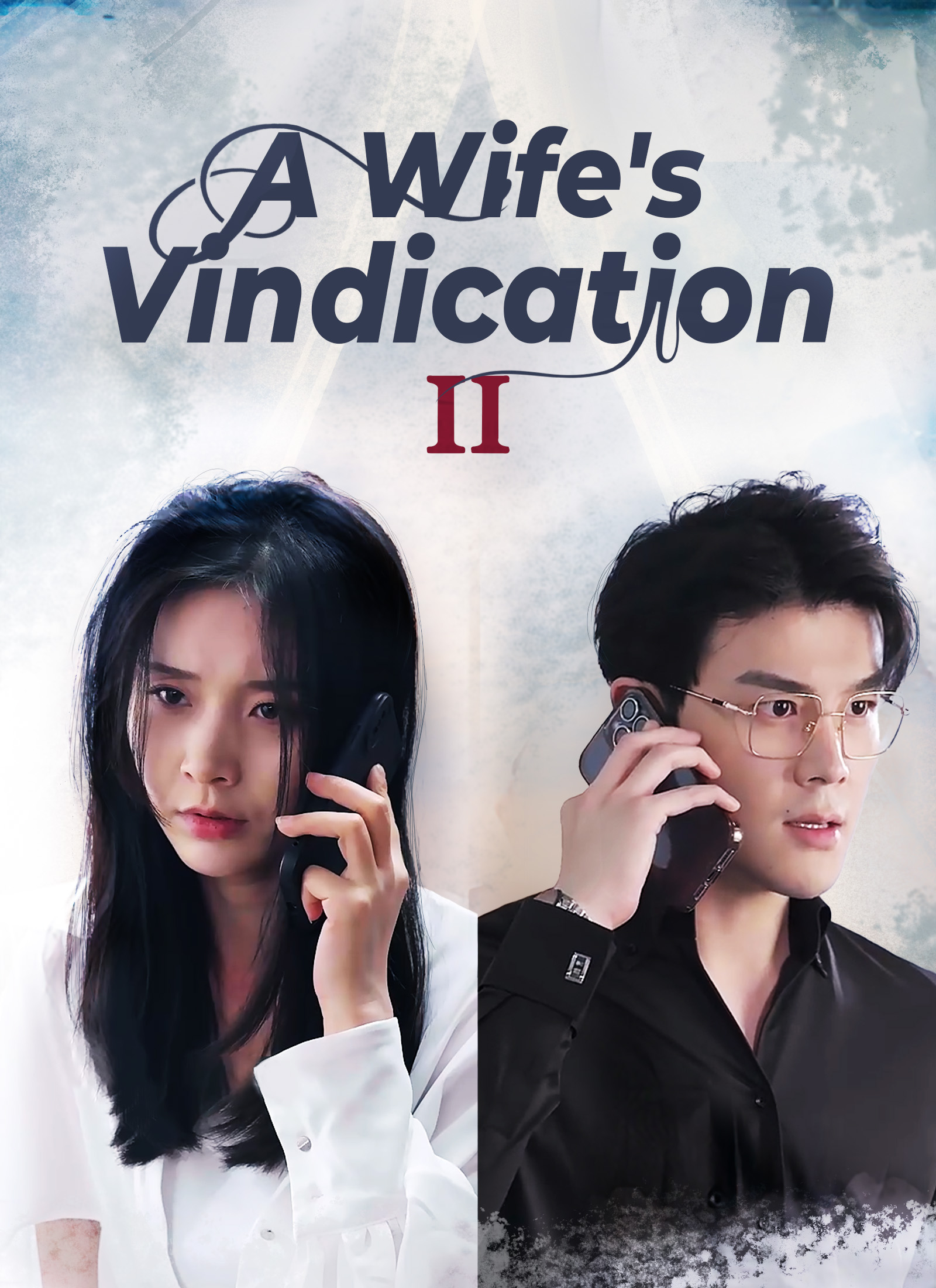 A Wife's Vindication poster