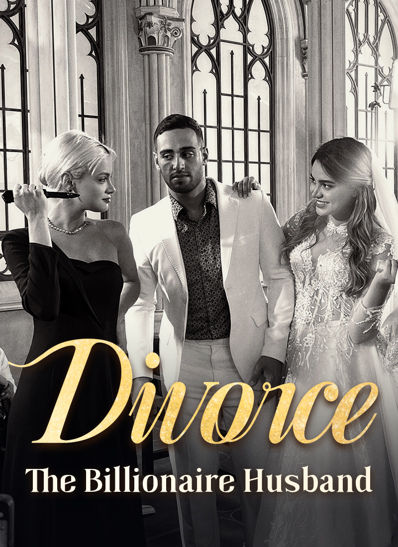 Divorce The Billionaire Husband poster