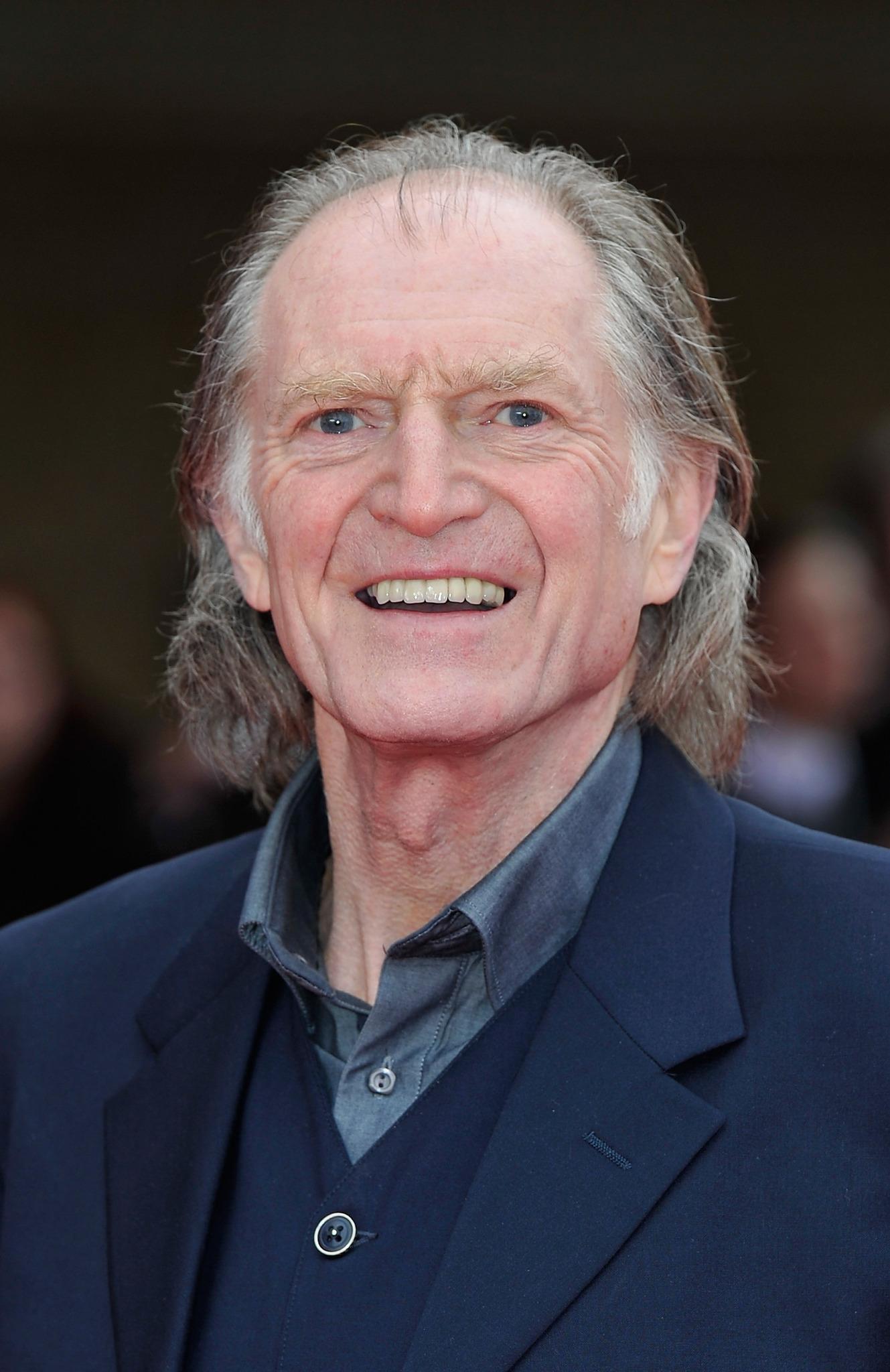 actor David Bradley large photo