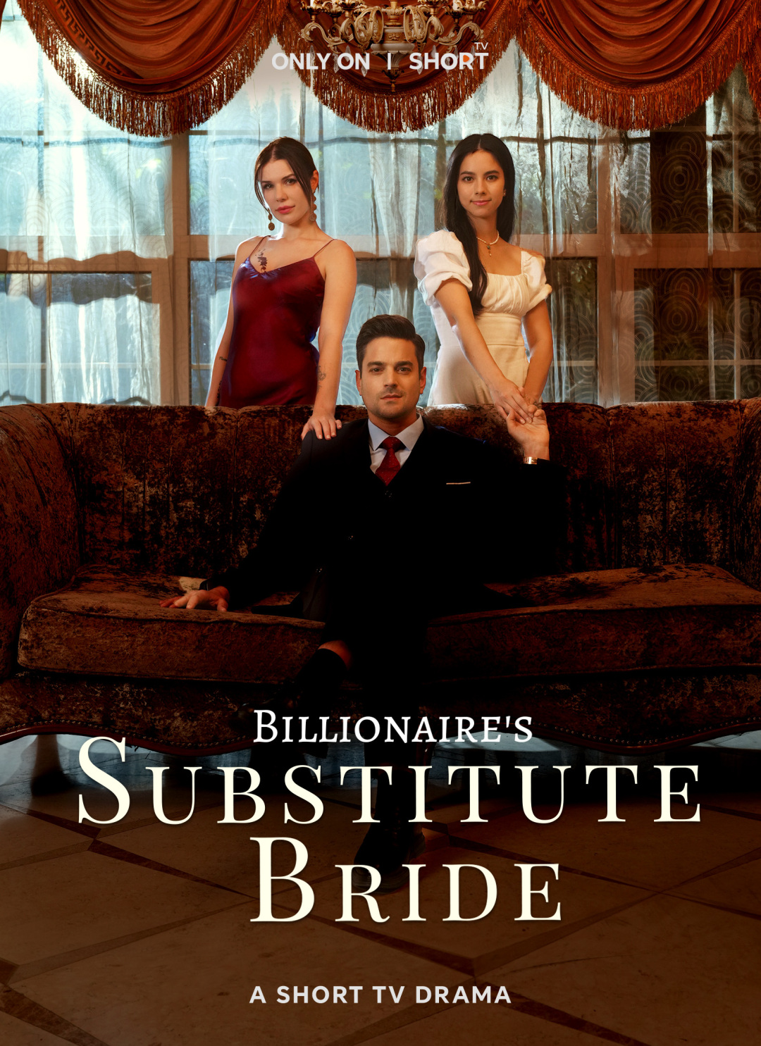 Billionaire's Substitute Bride — blurred background