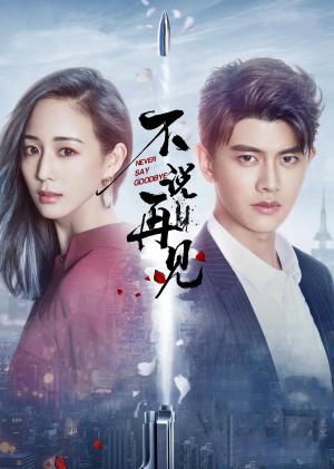 Never Say Goodbye [Indonesian]