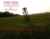 The Veil