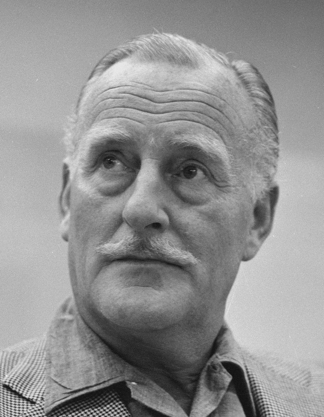 actor John Williams large photo