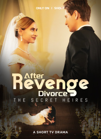 Revenge After Divorce:The Secret Heires