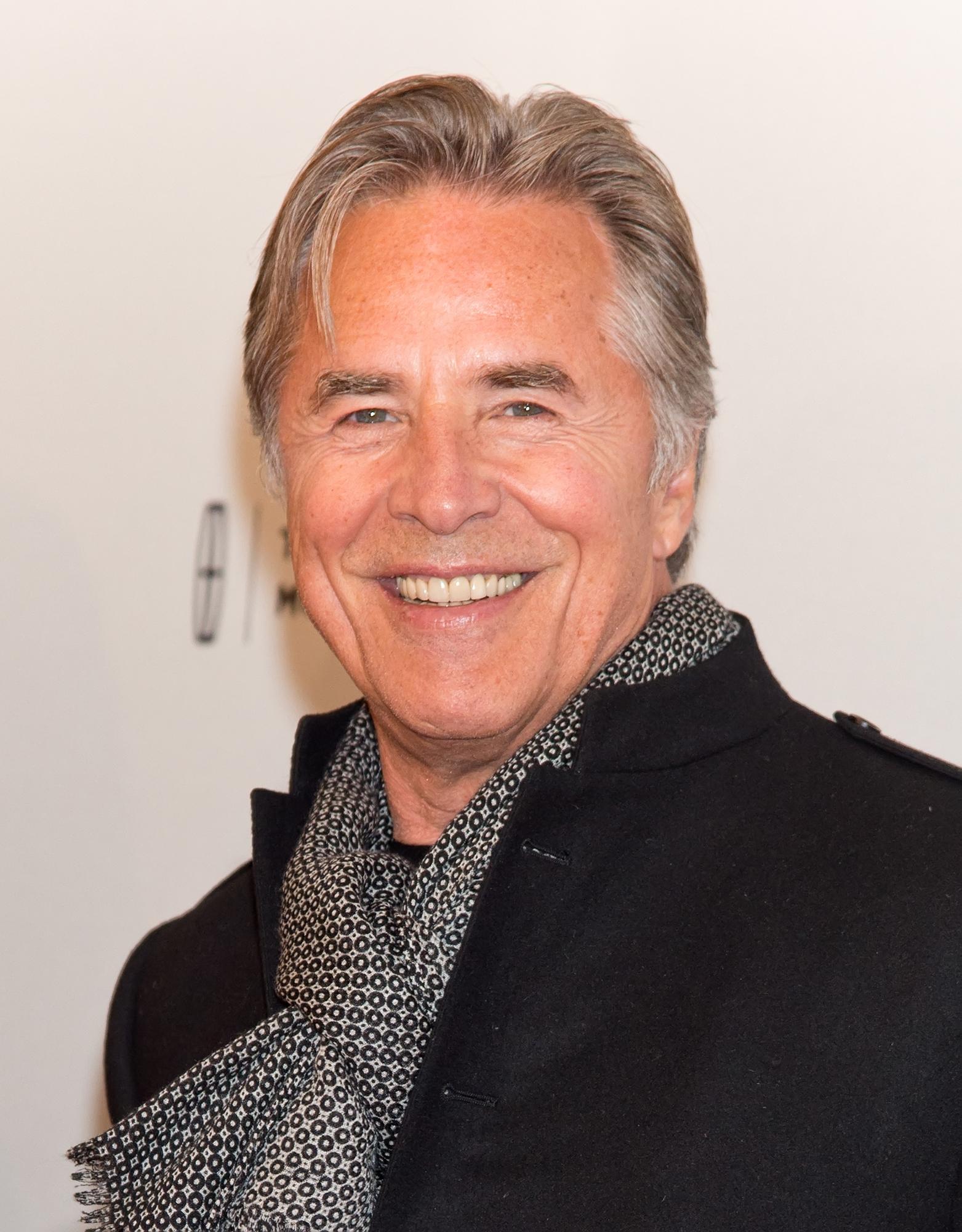 actor Don Johnson large photo