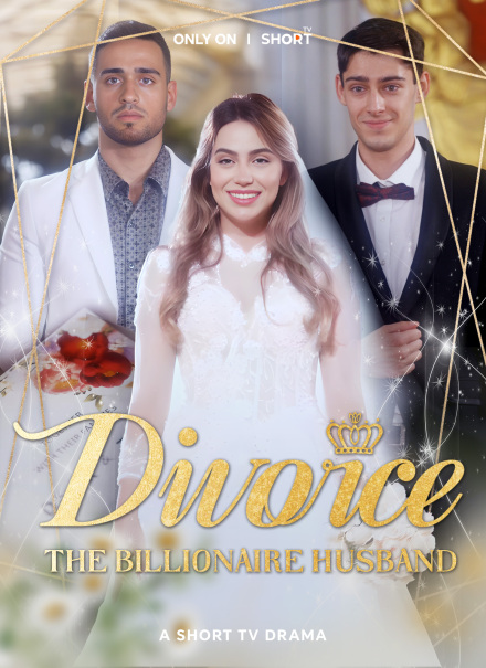 Divorce The Billionaire Husband - Pure Enjoyment Version