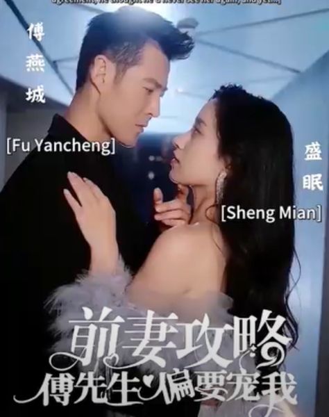EX-wife strategy：Mr.Fu,Stop Being Obsessed With Me poster