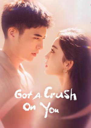 Got a Crush on You [Hindi]