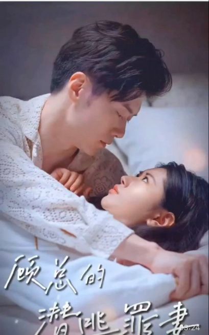 Mr. Gu's Running Wife poster