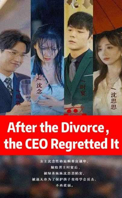 After the divorce, the CEO regretted it poster