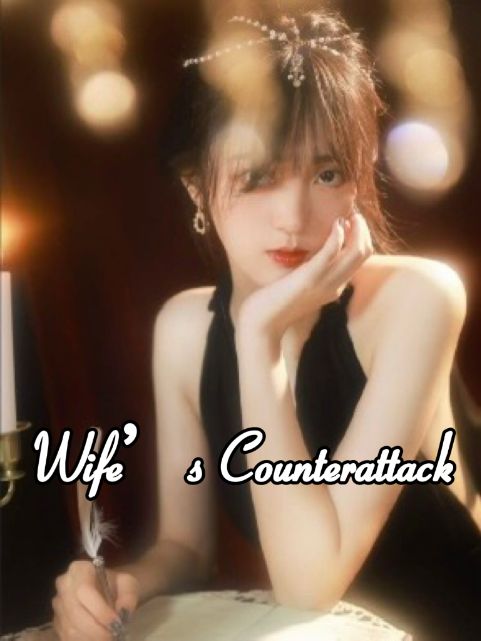 Wife's Counterattack poster