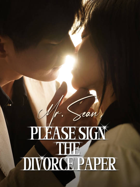 Mr. Sean, Please Sign the Divorce Paper poster