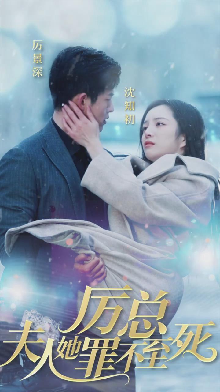 Madam Li, Her Crime Will Not Lead To Death poster