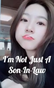 I'm Not Just A Son-In-Law poster