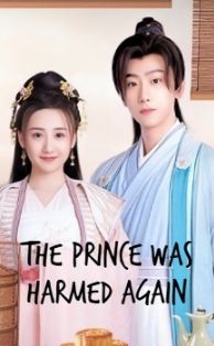 The Prince Was Harmed Again poster