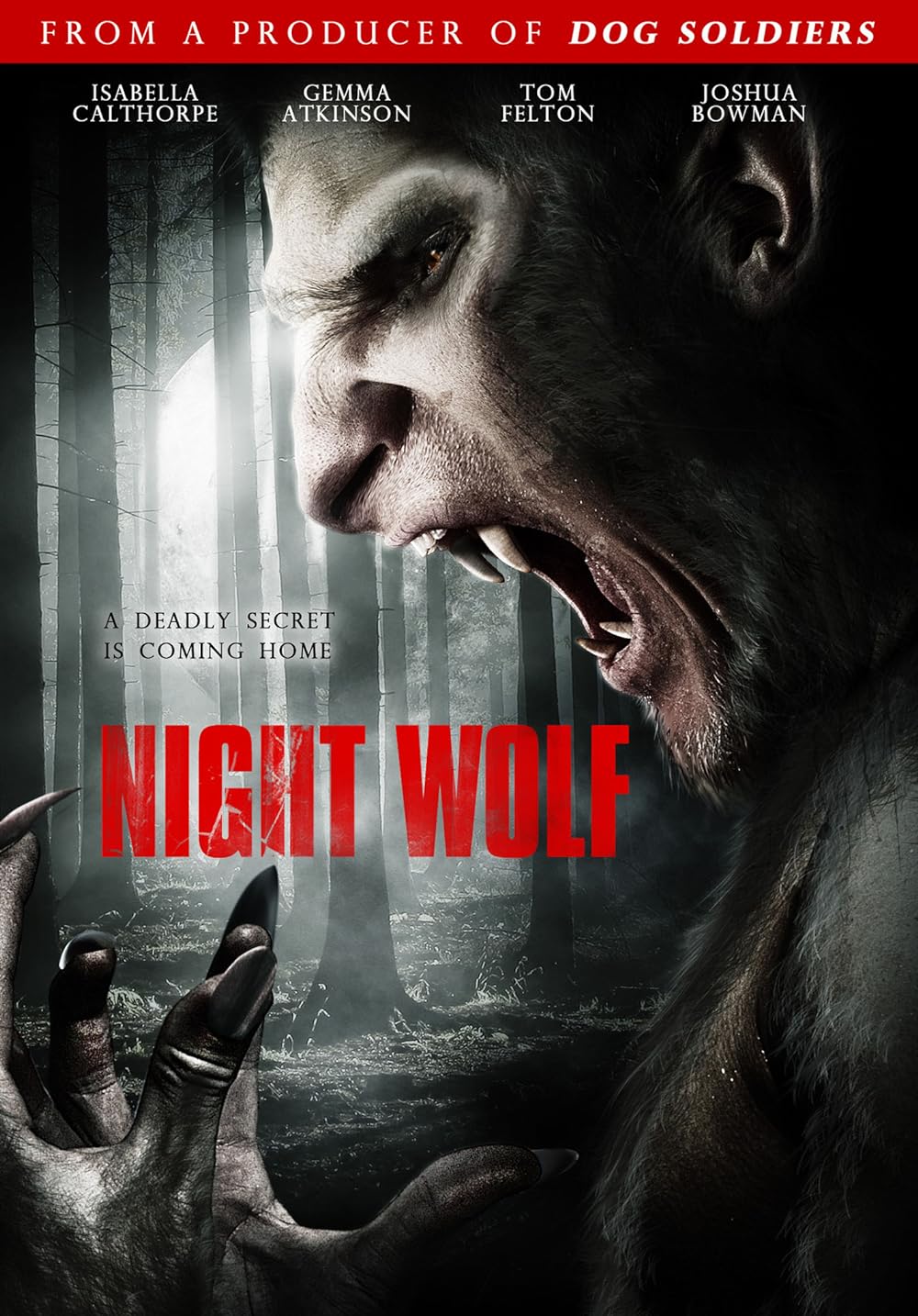 Night Wolf background