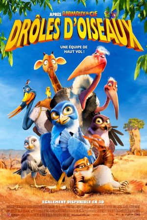 Drôles d'oiseaux