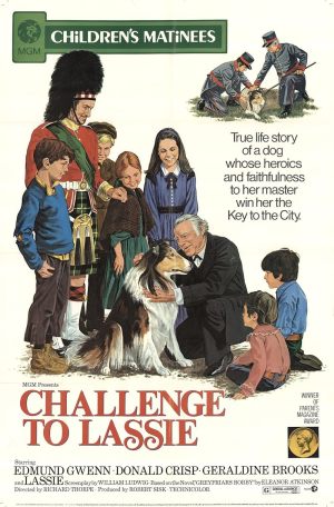 Le défi de Lassie