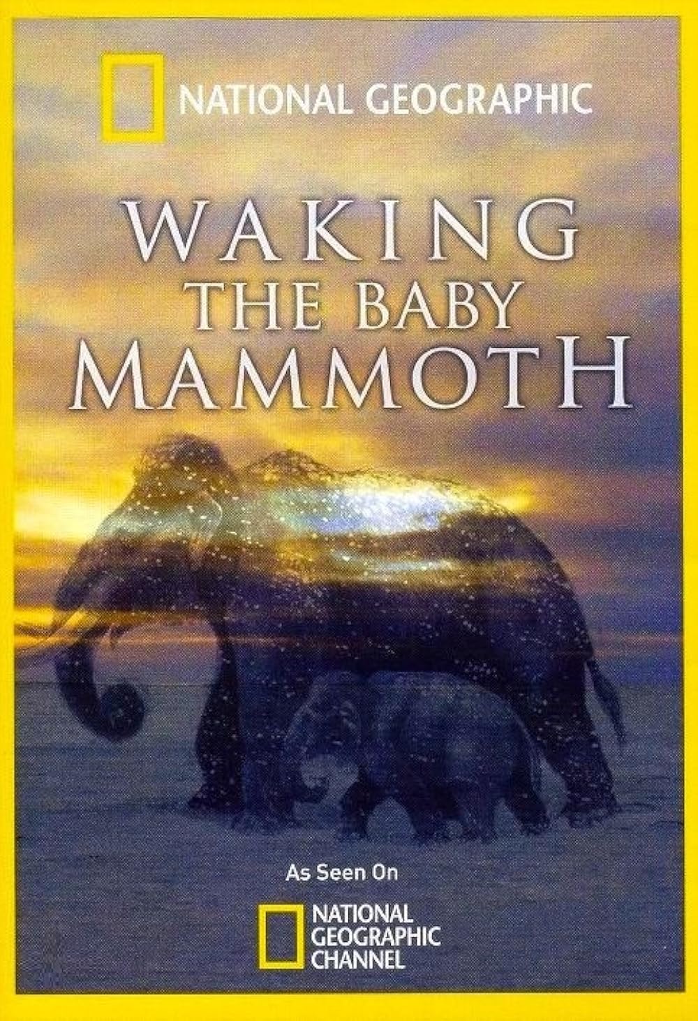 Le réveil du bébé mammouth
