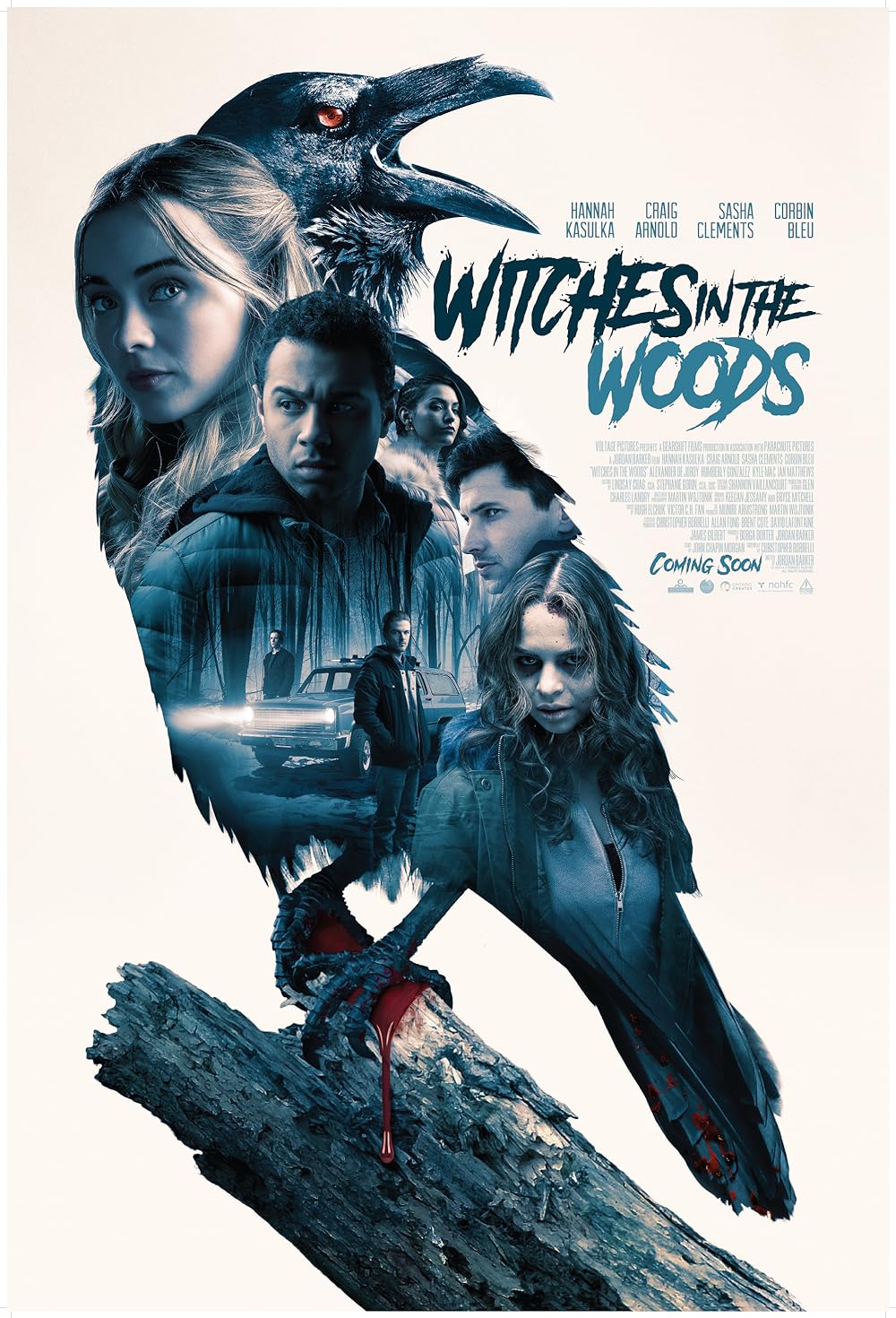 Witches in the Woods background