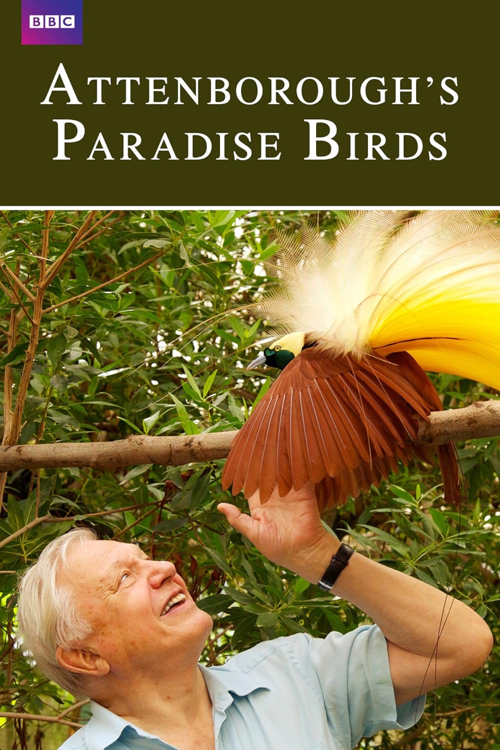 Attenborough's Paradise Birds background